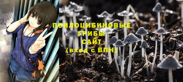 а пвп мука Коряжма
