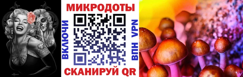 Купить  Дятьково  Галлюциногенные грибы Cubensis 